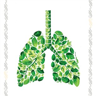 عدم وجود آلاینده‌ها و پایداری زیست‌محیطی در کاغذ دیواری‌ها